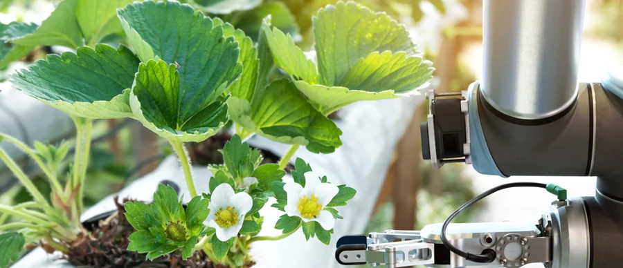 Agritech Industry